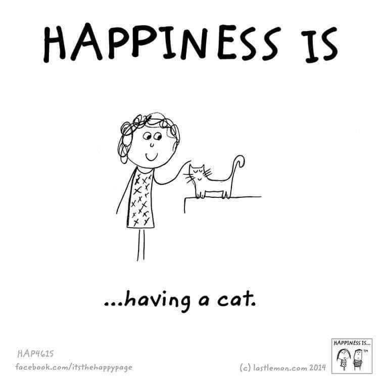True? 🐈