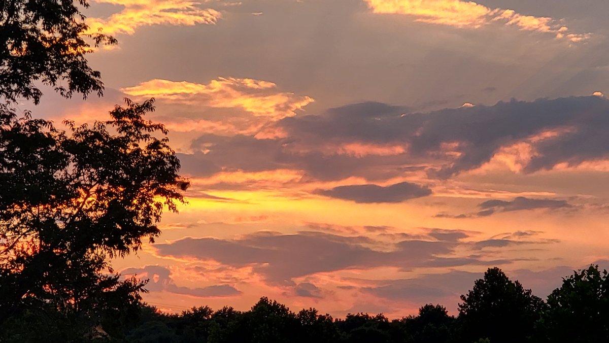 SurferGrl15's tweet photo. Gn everyone. Sunset vibes
@SamsungMobileUS #TeamGalaxy #thursdays #samsung #nature #skycaptures https://t.co/C8QE5SHMmG