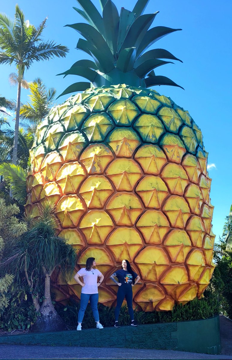 So wonderful to have my friend and colleague <a href="/majazonjic/">Dr Maja Zonjić</a> come to stay. We missioned to The Big Pineapple and naturally I made her do a #MatildaPose with me.