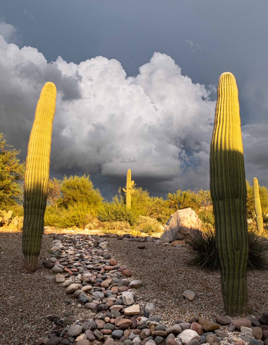 spigelman's tweet photo. Maybe a little less extreme politics and a little more of nature's extreme beauty. https://t.co/vodV99Iyma