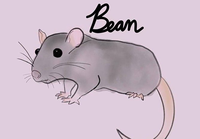 calicodummy's tweet photo. Bean https://t.co/4tmDBTxG7I