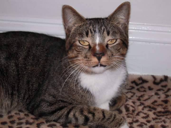 Michelle Eisenberg tweet media