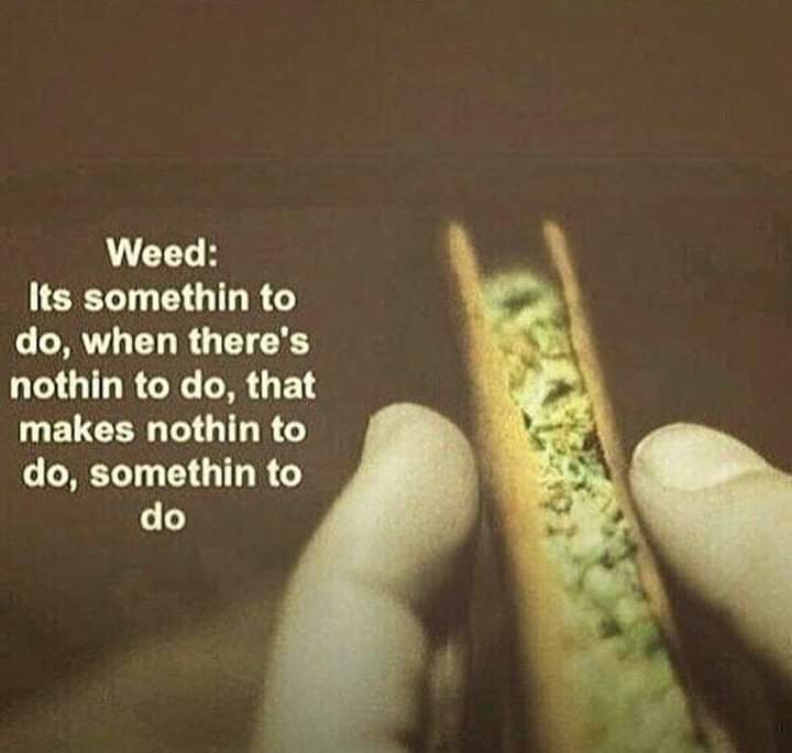WriteWeed's tweet photo. You are never bored as long as you have something to roll up #PPP #CannabisCommunity #Weed https://t.co/lKxbgPD4C8