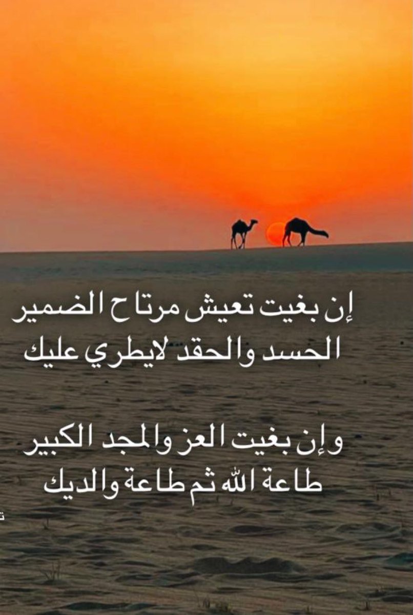 نوار بن ضيف الله (@nwar_dhaifalla) on Twitter photo 