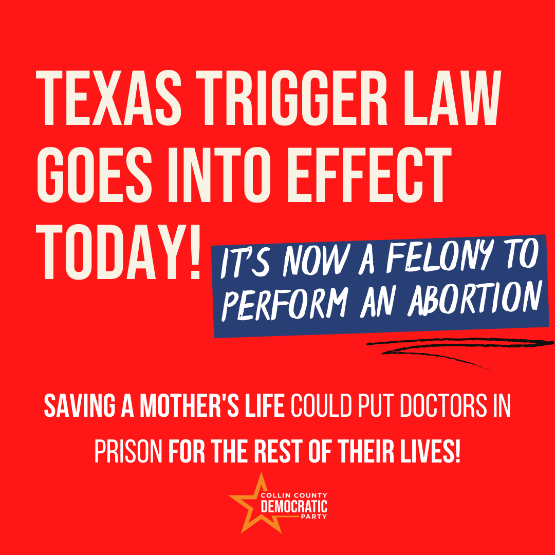 CollinDemocrat's tweet photo. The Texas #TriggerLaw has gone into effect. Now it is virtually impossible for women to have the right to their own #MedicalFreedom.
We must not forget what the GOP has done to us & fight for a better tomorrow!
If we elect DEMOCRATS we can change this. https://t.co/pfIVGJM3Ty
