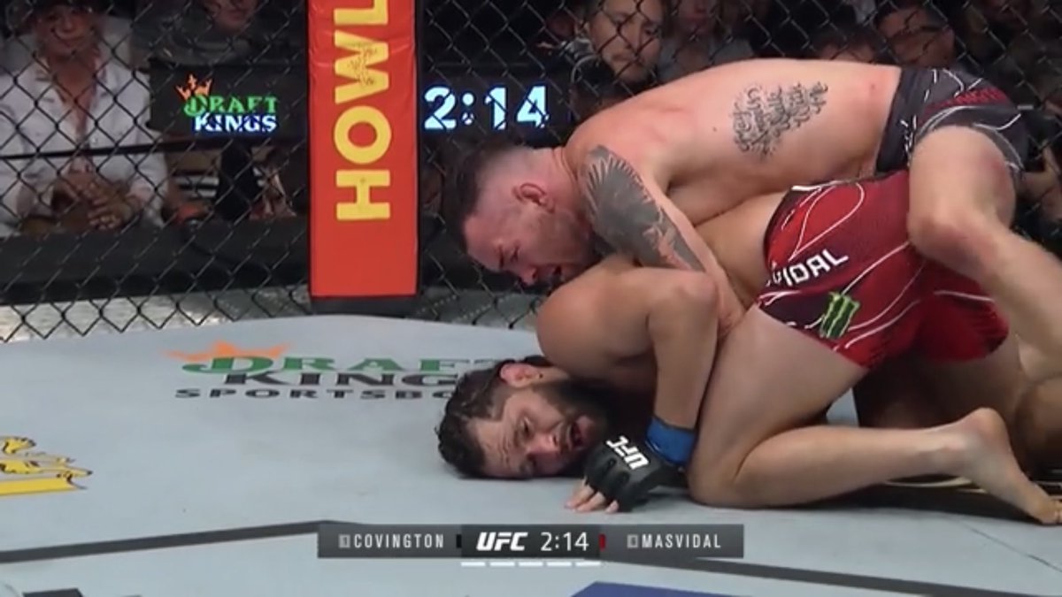 Romansilva27's tweet photo. @GamebredFighter https://t.co/LpjHp1xdBY