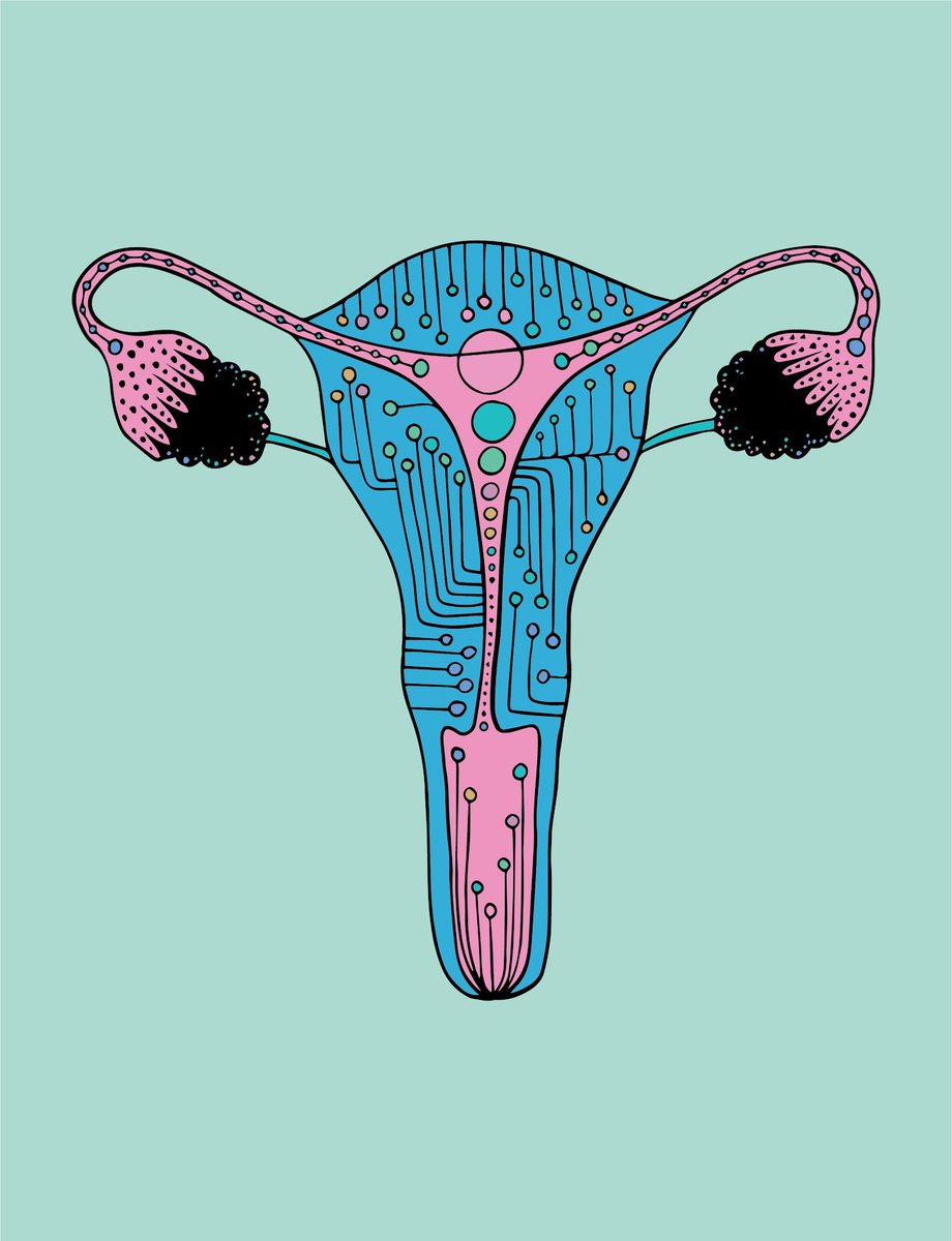 anatomicalsales's tweet photo. 💓 
 
Uterus #37 just sold for 0.05 ETH ($70.35)
-The Anatomical Project 
https://t.co/vCCzNX4wv9 https://t.co/dg3KVKlOT0