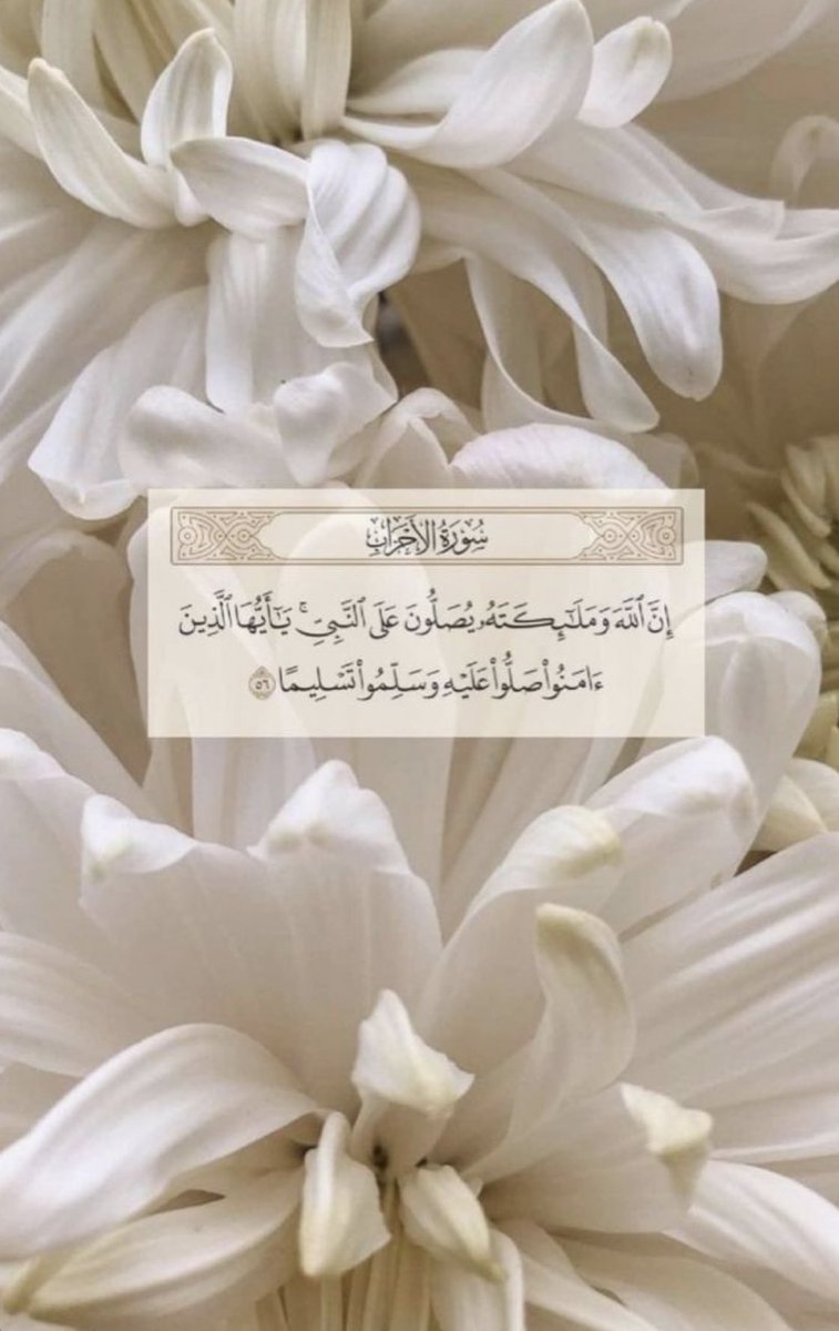 محمد الشمري tweet media