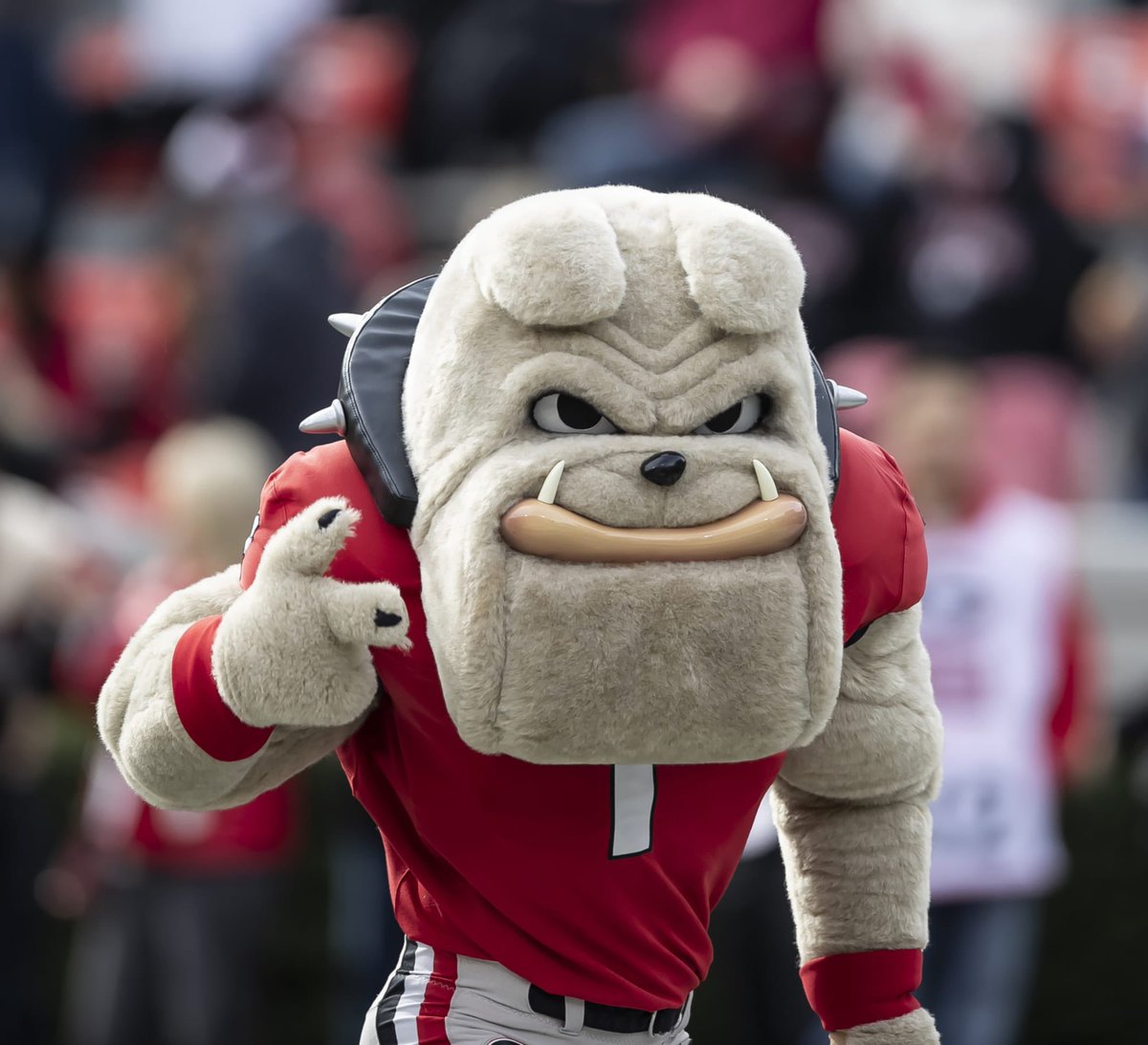 UOAlumni's tweet photo. .@GeorgiaFootball what the heck is this?? https://t.co/yTVipD6TAG