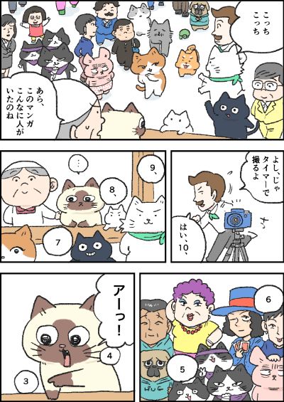 最終話「おふくちゃん最終回」はこちらから⇒
(https://t.co/oE2D1F4rUo)
長きにわたり『猫のおふくちゃん』の応援をいただき、本当にありがとうございました。 