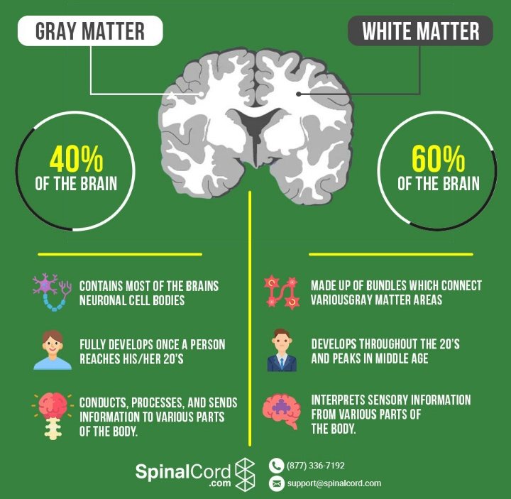encikdoomex's tweet photo. Tun Dr M sentiasa 'relevan' di hati #RakyatMalaysia sampai bila² 😆😆😆

OK #sinisjer

Manusia, Allah cipta dan kurnia berpasangan 😁
Ada kanan ada kiri cth otak dlm tengkorak ada kanan kiri, gray mater white mater.

Eh! 🤭 Mulut satu jer bang! 

Mulut pasangannya lidah 😉 https://t.co/TkHQxSbPLE