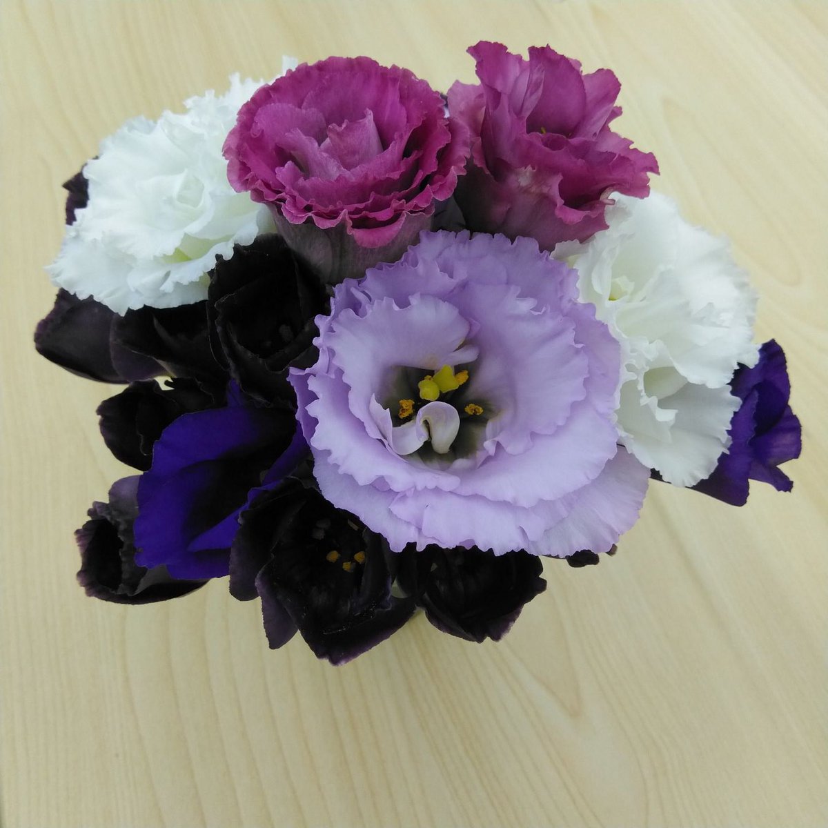 トルコ桔梗の生産者さんがアレンジメントしてくれました 今後 入荷する予定の花もあります 可愛いですよね 楽しみです 22 08 26 福島県富岡町の企業 富岡町観光協会 ぐるっとそうそう トルコ桔梗の生産者さんがアレンジメントしてくれました 今後 入荷する予定の花もあります 可愛いですよね 楽しみです 22 08 26 福島県富岡町の企業 富岡町観光協会 ぐるっとそうそう