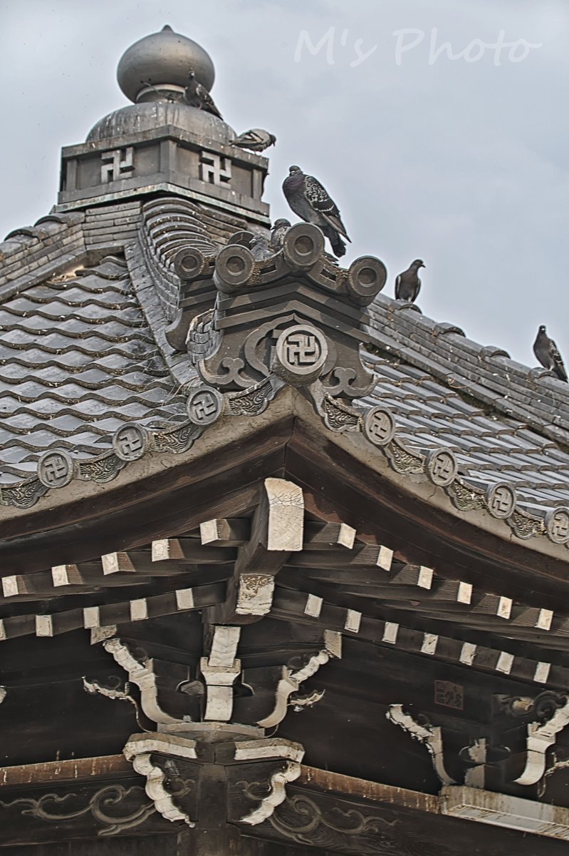 houwakougyou's tweet photo. 📷
2022,08,14
ー卍／#風景 ー
- Swastika / #Landscape -
#あま市 #町の景色 #寺 #建物 #境内 #鳩 #屋根 #瓦
#TownView #Temple #Building #Precincts #Dove #Roof #Tile
#LandscapePhotography #landscapecaptures
#light_nikon #Nikon #D780 #SIGMA
#Rawtherapee #GIMP #Nikcollection #Jtrim https://t.co/0ct1QzakY2