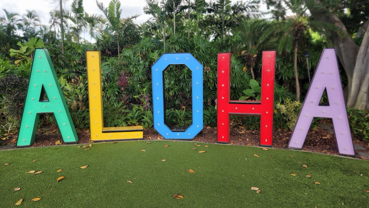 David Keith tweet media