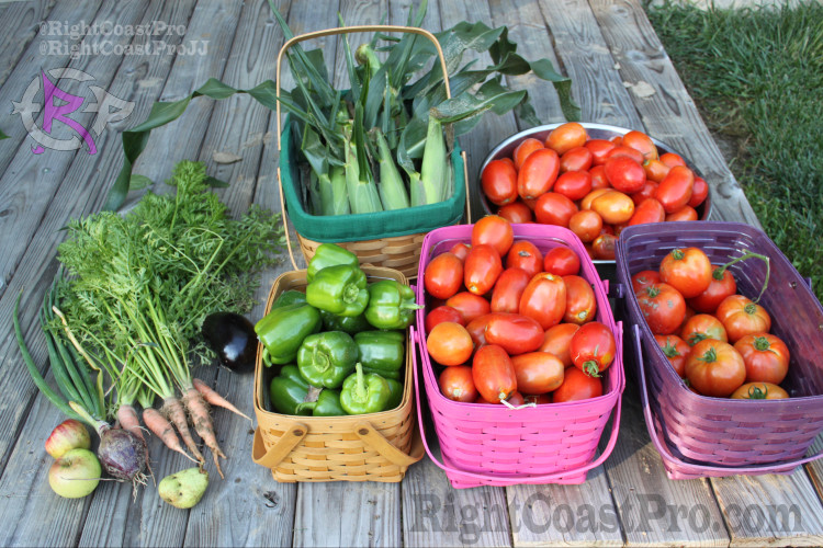 RightCoastProJJ's tweet photo. You are what you eat. Keep it simple

That is our Right Coast Pro / Renegade Training tip of the day. https://t.co/XNUHezYNkN
