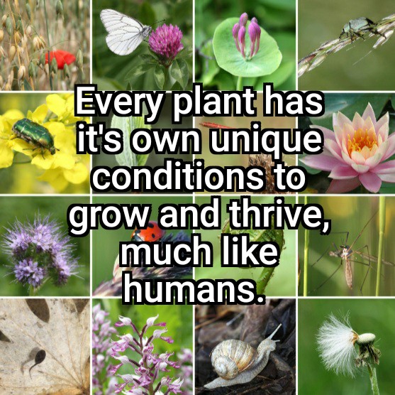 jonmartinezties's tweet photo. If you're not thriving change your environment #goodtoremember #neverforget #thrive #grow #environment #important #importantlifelessons #remember #changeisgood #findyourhappyplace https://t.co/iStiyRJglt