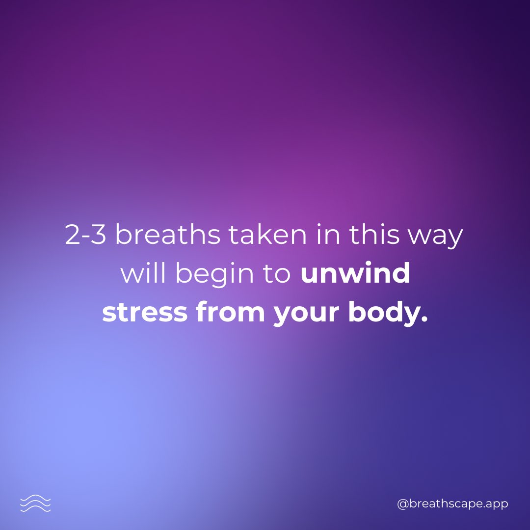breathscapeapp's tweet photo. 5.5 seconds in, 5.5 seconds out. Take a moment and try it now! Let us know how you feel afterwards in the comments.
#breathscape #deepbreathing #relaxation #mindfulness #motivationalquotes #meditation #positivethinking #dailymeditation #mindfulnessmeditation #guidedmeditation https://t.co/gHqTEkKmVq
