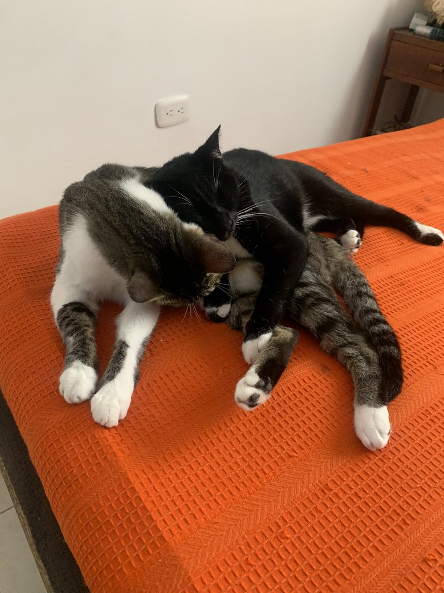 ¿Que si son mi vida? Si, son mi vida ♥️
