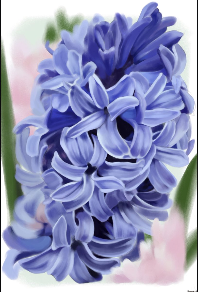 Huaying_yi's tweet photo. Rendered some hyacinths

#art #procreate #illustration https://t.co/B5mHvtalGB