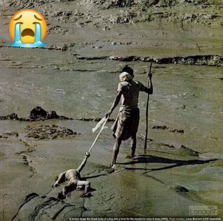Humanity is Dying!