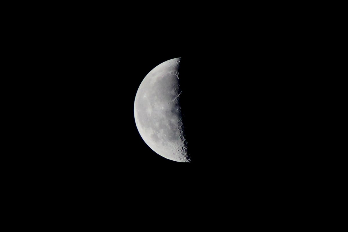 DavidAffray's tweet photo. Thank you for your #1linewed support!
#RestoreTheMoon
@Mollie_SRogers
@BethGreenBooks
@K_E_Huston
@LLaaksoWriter
@Jason_H_Abbott
@NickPWilford
@SobrietyStories
@Write2Fite
@TheHeronKing https://t.co/C704fG9FFj