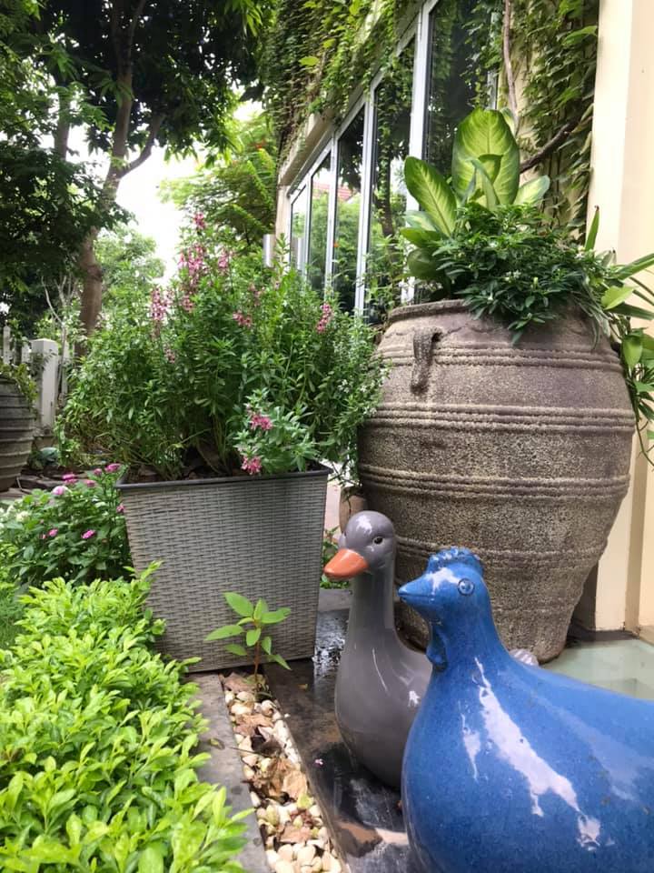 annampottery's tweet photo. TD Pottery Co., LTD.
#pottery #ceramic #gift #outdoorpots #largepots #hugepots #indoorpottery #garden #decoration https://t.co/xm1q81LVmv