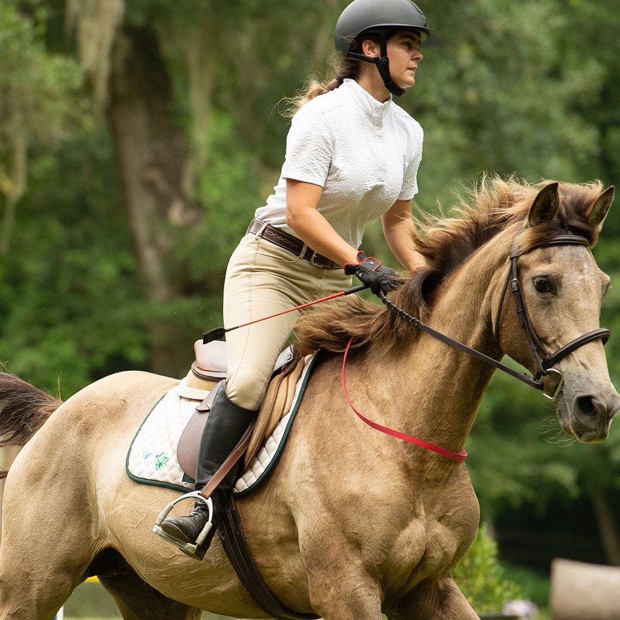 hjphotography31's tweet photo. horse is running before going over a jump! #showhorses #horses #isleofpalmsphotographer #scequinephotographer #eventing #showjumping #horseshows #scphotographer #equine #equestrian #charlestonsc #aikensc #camdensc #southcarolinaphotographer #horsephotographer #middletonplace https://t.co/uNDICcnRJM