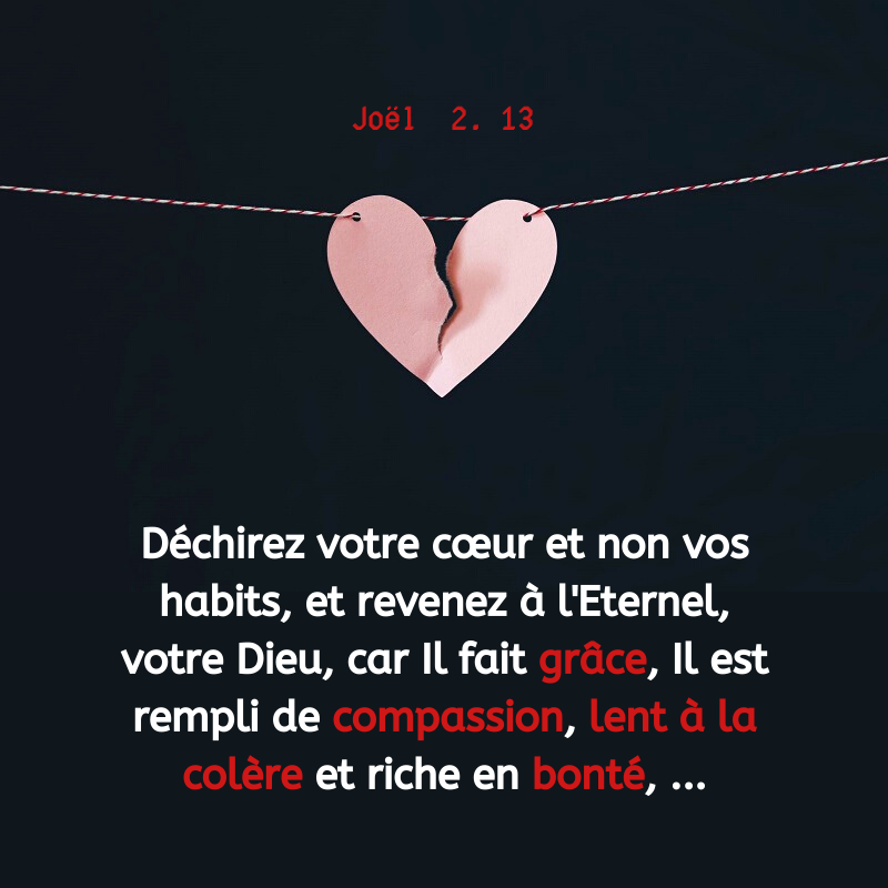 la_Bible's tweet photo. https://t.co/xiulHcBpq0