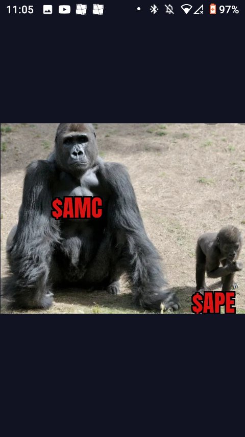 Phil23359277's tweet photo. #LETSGOAPE https://t.co/qyjEQKTnzC