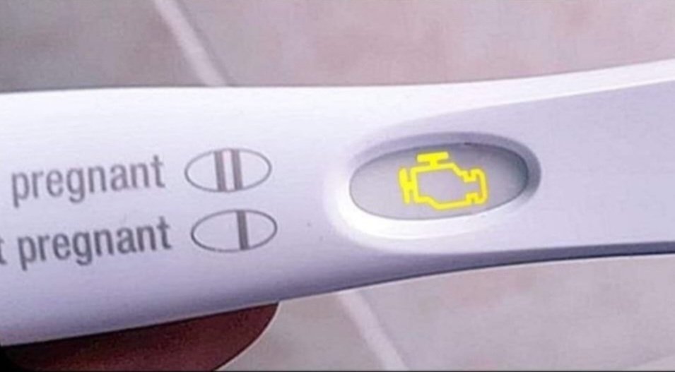 holly-fox-mom-las-vegas-on-twitter-help-i-took-a-pregnancy-test