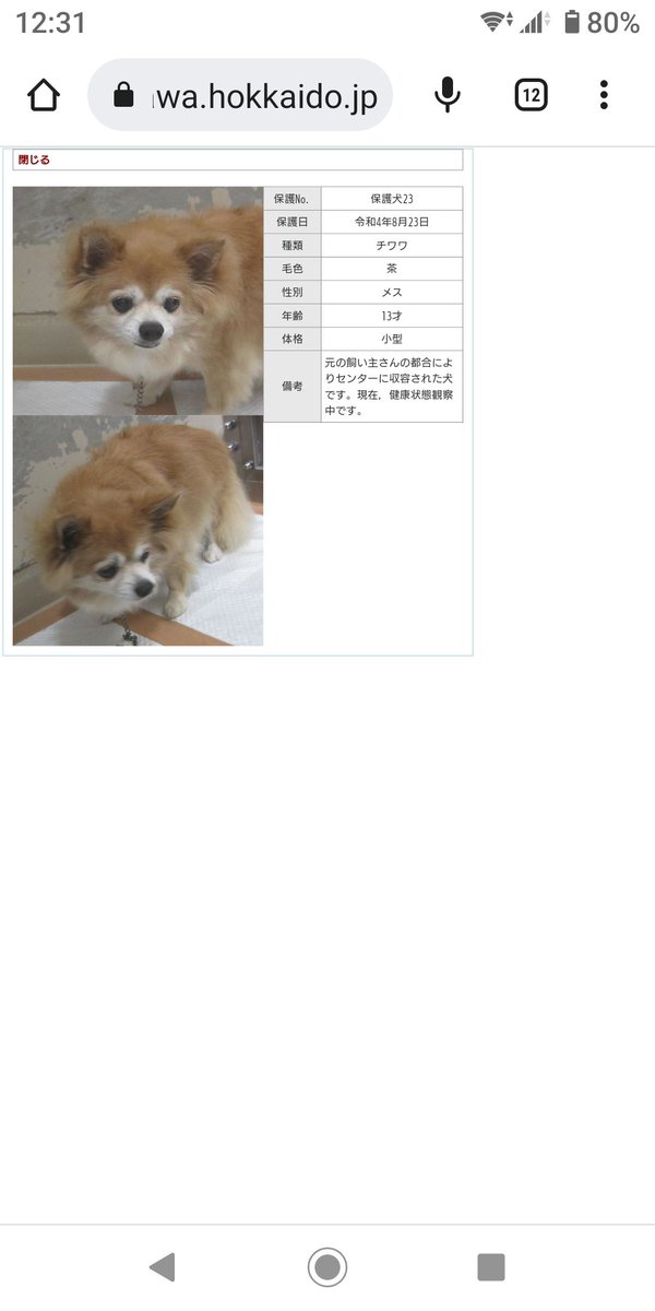 iWaFDUeWUTuqm9L's tweet photo. 旭川市引き取りワンちゃんです。 https://t.co/3JWLLmRkQj