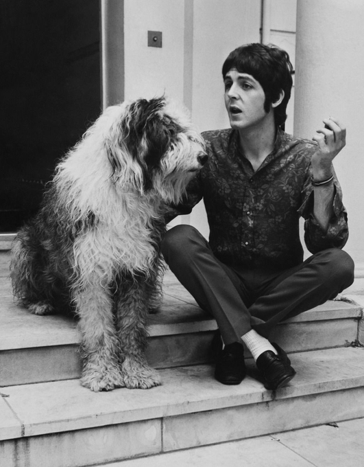 Paul McCartney and his dog Martha. #DogDay #HappyNationalDogDay #DogsofTwittter