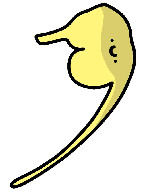ロングスナウテッドシーホース 