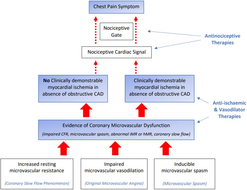 Vessel_Plus's tweet photo. 🎯#CoronaryMicrovascularDysfunction #CMD
👩🎓Prof. @RosannaTavella from @TQEHofficial shares an article for you
✅Clinical Presentations: SyndromeX, Microvascular Angina,Microvascular Spasm
✅Myocardial Ischemia & Abnormal Cardiac👉Chest Pain in CMD
📚https://t.co/gB5l9XVPMh https://t.co/NQ4uszG45H