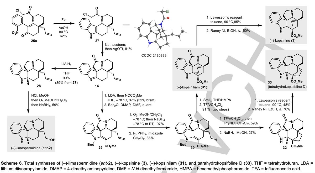 Enantioselective #TotalSynthesis of (–)-Limaspermidine and (–)-Kopsinine by a Nitroaryl Transfer Cascade Strategy by <a href="/brendan_horst/">Brendan Horst</a>, Daniël S. Verdoorn, Sven Hennig, Gydo van der Heijden, and Eelco Ruijter <a href="/RuijterLab/">RuijterLab</a> at <a href="/VUamsterdam/">Vrije Universiteit Amsterdam (inactief)</a> in <a href="/angew_chem/">Angewandte Chemie</a> onlinelibrary.wiley.com/doi/10.1002/an…
