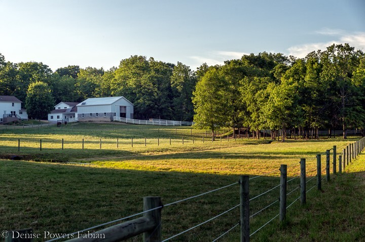 MissDudykins's tweet photo. Across the fenceline.
.
.
#pin #barnsofinstagram #outdoors #countryside #country #rural #ruralohio #summer #summertime #middlefield #geaugacounty #endofday #july #amishcountry #amishfarm https://t.co/kIdhsOB3n8 https://t.co/cArwWuKv0F