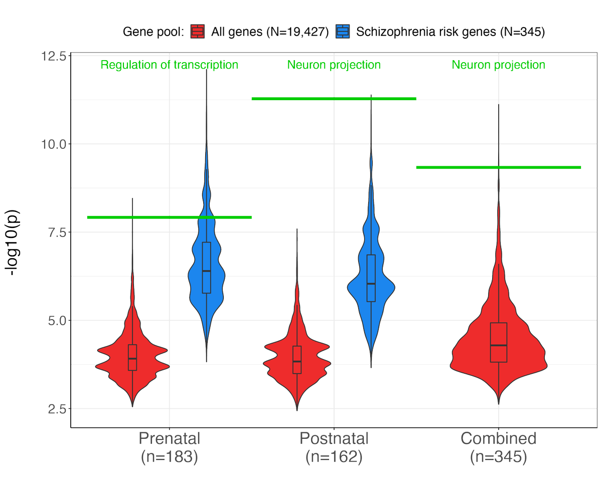DvdM33r's tweet image. New preprint!! We found: 1) two schizophrenia gene sets with pre- versus postnatal cortical expression, 2) these sets associate with distinct neurodevelopmental processes, and 3) set-specific polygenic scores interact to predict diagnosis. Read more: medrxiv.org/content/10.110…