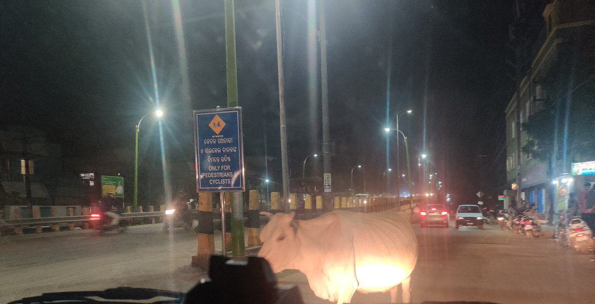 bbsrcapital's tweet photo. Reminder III
Stray cattles block Pokhariput main road. Accidents happen. Kargil road to DAV School - full of cows on road. No action from @bmcbbsr inspite repeated grievance and reminders.
@Vijaykulange @Sulochana_Apa @MayorofBBSR 
Picture taken on 25th August 2022 evening https://t.co/NQV3HVYkHo