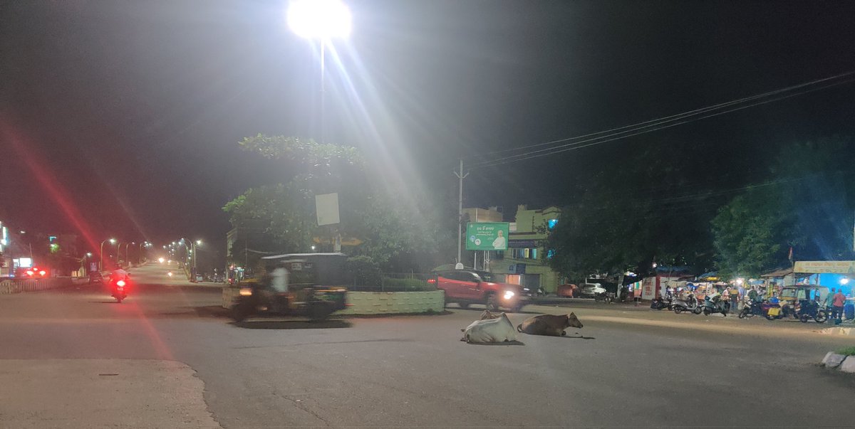 bbsrcapital's tweet photo. Reminder III
Stray cattles block Pokhariput main road. Accidents happen. Kargil road to DAV School - full of cows on road. No action from @bmcbbsr inspite repeated grievance and reminders.
@Vijaykulange @Sulochana_Apa @MayorofBBSR 
Picture taken on 25th August 2022 evening https://t.co/NQV3HVYkHo