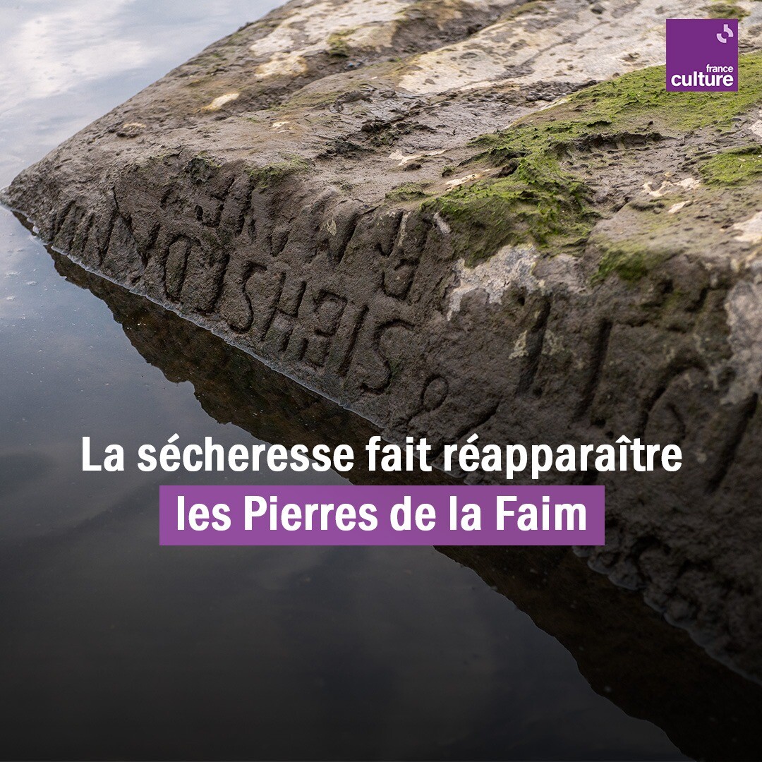 "Si tu me vois, commence à pleurer". Immergées dès le début du Moyen Âge, ces pierres gravées d'inscriptions portent la mémoire des sécheresses et des famines passées.
➡️ l.franceculture.fr/H8x