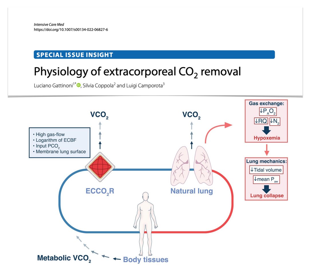 yourICM's tweet photo. Physiology of extracorporeal CO2 removal
➡️ physico-chemical characteristics of #ECCO2R
➡️ artificial/natural lung interactions: physiology, gas exchange, lung mechanics
➡️ discrepancies between physiology/actual ECCO2r applications
#FOAMcc on @yourICM
🖇️ https://t.co/zJYUQxR3ki https://t.co/YaluexaHtc