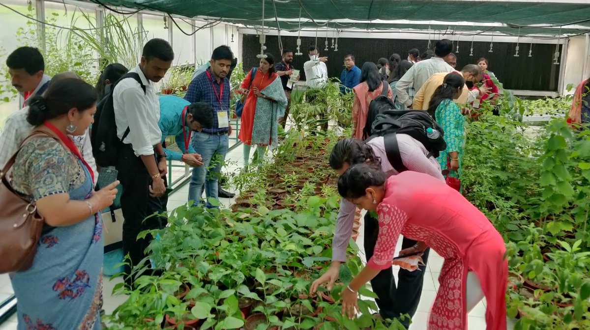 DaburIndia's tweet photo. Happy to host the PG and Ph. D scholars from All India Institute of Ayurveda, Delhi, and teachers of Dravyaguna Department from different Ayurvedic colleges at the Dabur R&D facility today.
#Dabur #Ayurveda #ScienceOfAyurveda #StudentVisits https://t.co/fMjcwtkTE2
