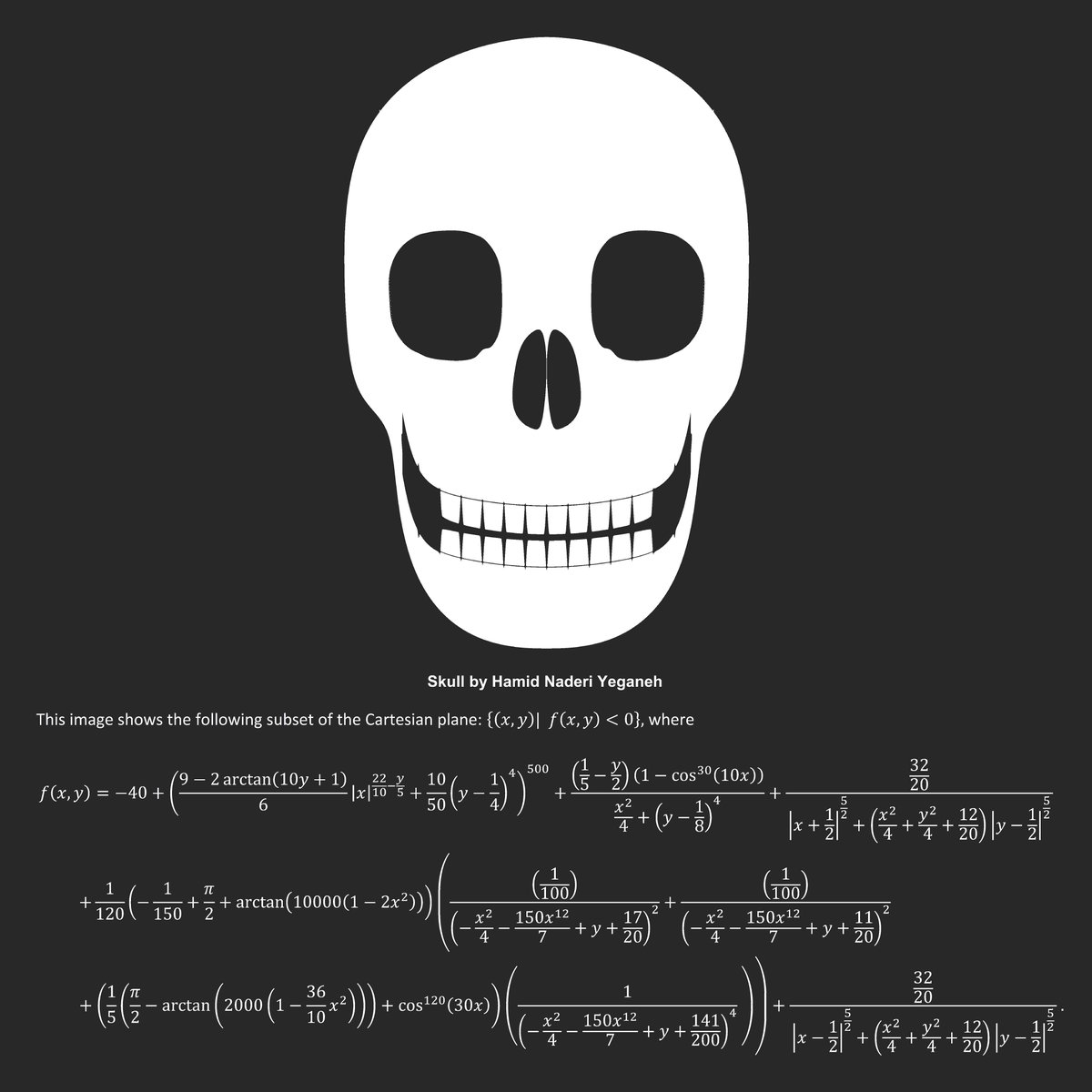 I drew this skull with mathematical equations.
