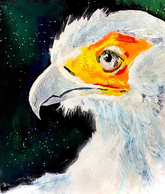 ヘビクイワシをもっと拡めたい。#ヘビクイワシ #鳥 #ペン画 #動物画#絵描きさんと繫がりたい 