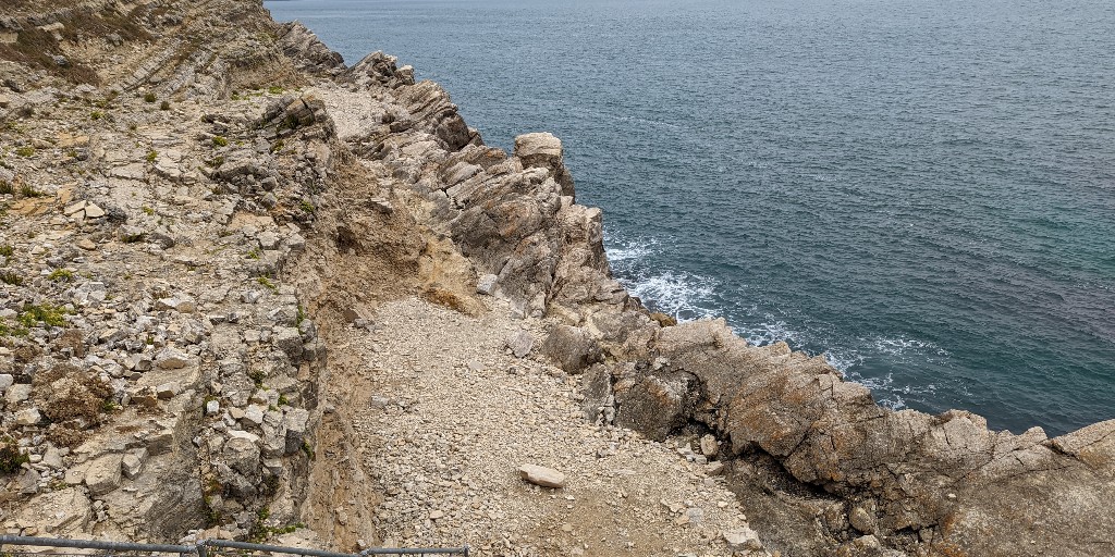 jurassic_coast's tweet photo. The #FossilForest exposed at #Lulworth allows us a glimpse into an early #Cretaceous environment from ~145 million years ago. 

#FossilFriday 

#FossilisedWood #PetrifiedWood #PickledWood https://t.co/p04cu4Gwvd