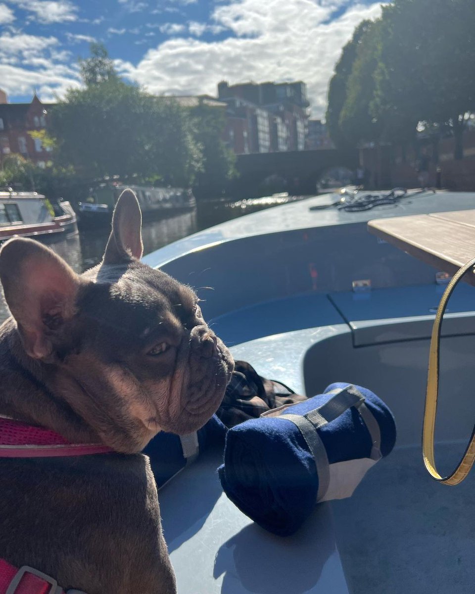 Brindleyplace tweet media