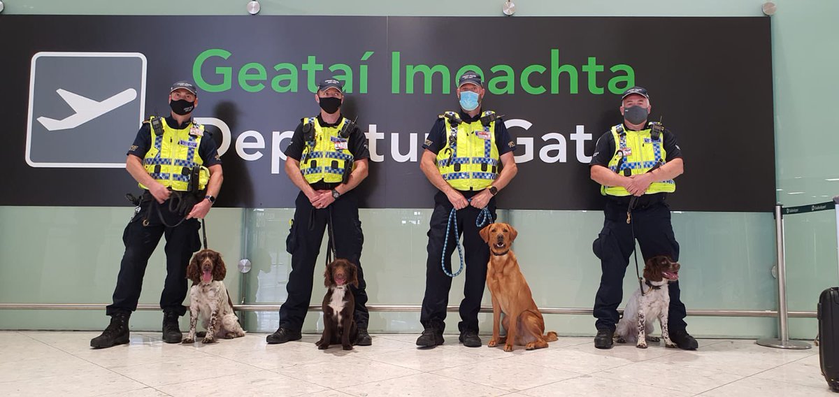 Dublin Airport tweet media