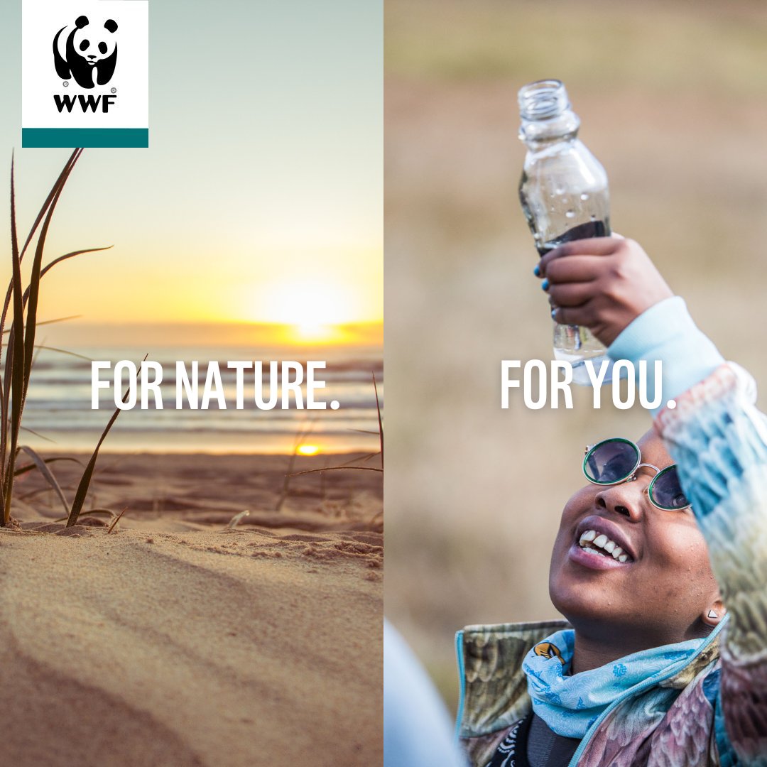 WWF South Africa tweet media