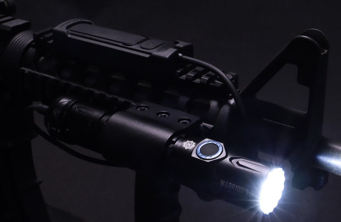 ただいまより、 「TTGD-D2手裏剣」 「warrior3s TTGDコラボ」 の予約