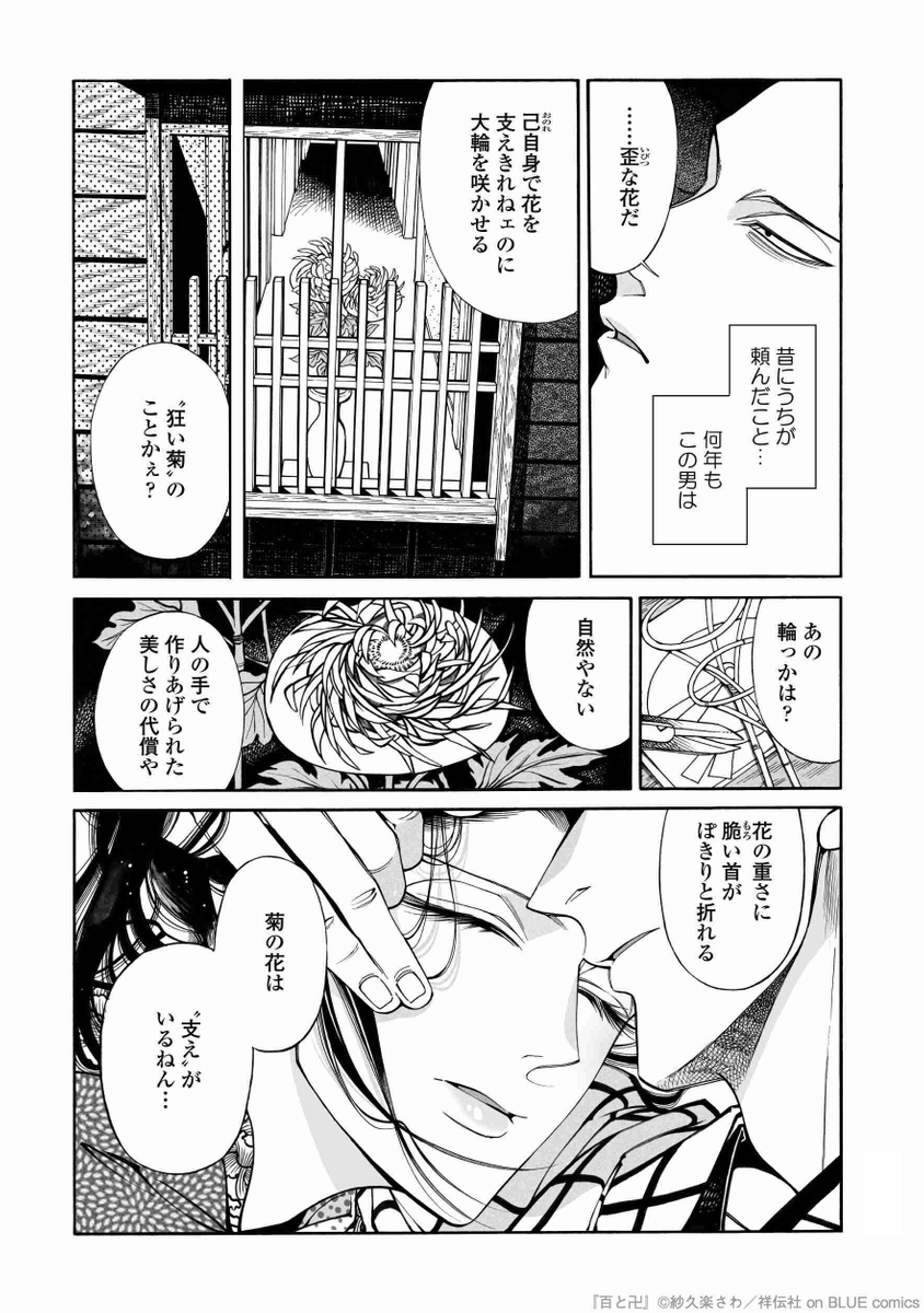 (7/11) 